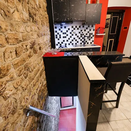 Apartman Old Town Spider *