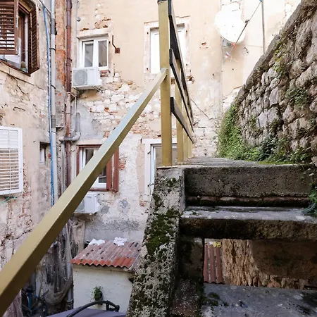 Old Town Spider *