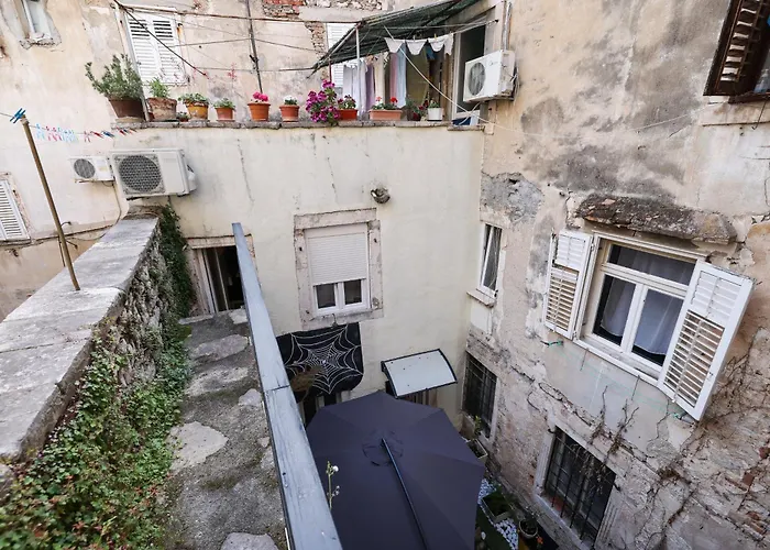 Old Town Spider زادار